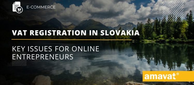 VAT registration in Slovakia for e commerce sector key issues for online entrepreneurs