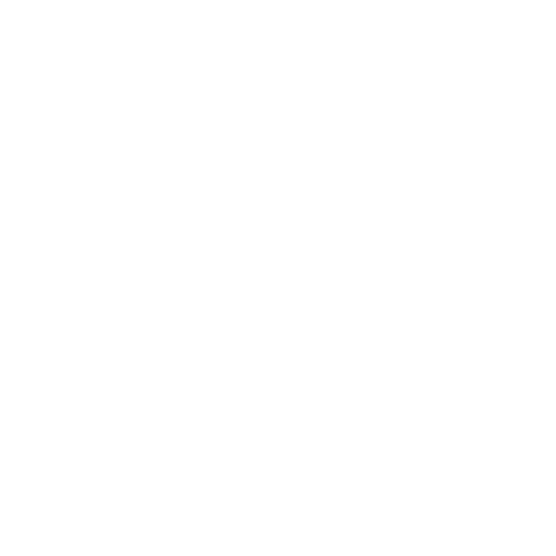 integracje ecommerce icon