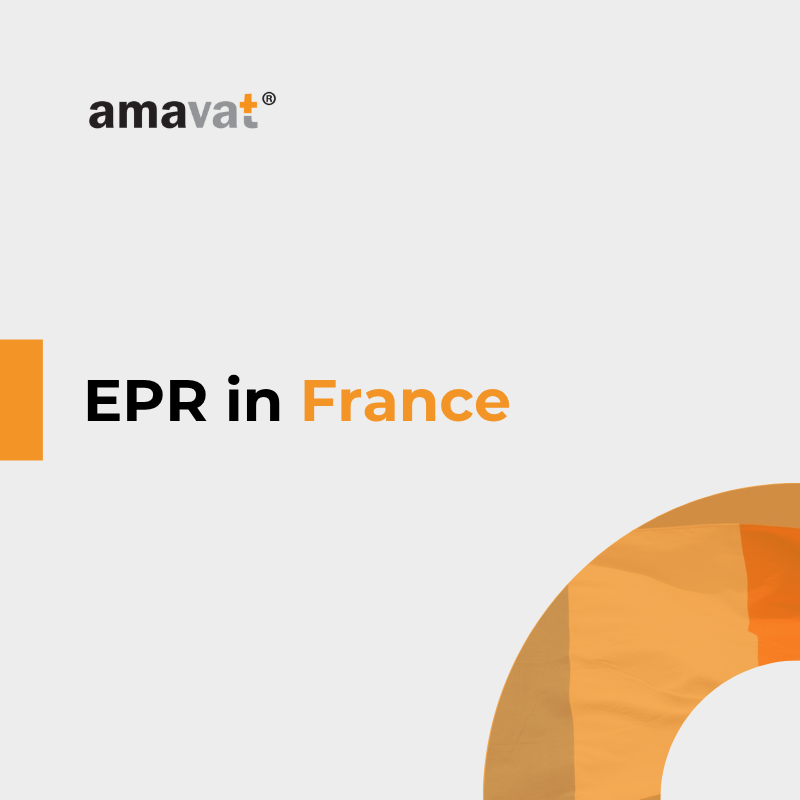 EPR System in France